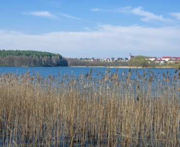 Malowniczy widok na jezioro w okolicach Giżycka z trzcinami na pierwszym planie, popularne miejsce na Mazurach.