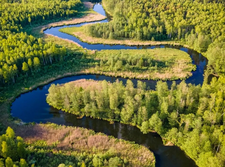 Spływy Kajakowe As-Tour [-10% z Kartą] 