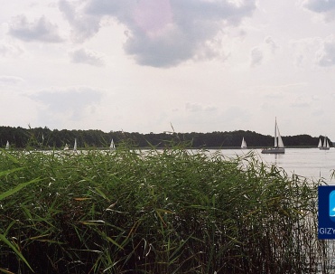 Widok na jezioro Niegocin z plaży - Spokojny widok na jezioro Niegocin otoczone trzcinami, idealne miejsce do wypoczynku na Mazurach.