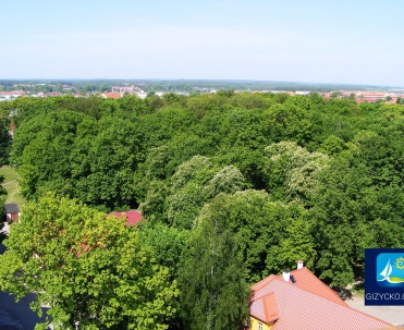 Park miejski w Giżycku - Widok na zieleń Parku Miejskiego w Giżycku, który stanowi oazę spokoju wśród naturalnych krajobrazów miasta.