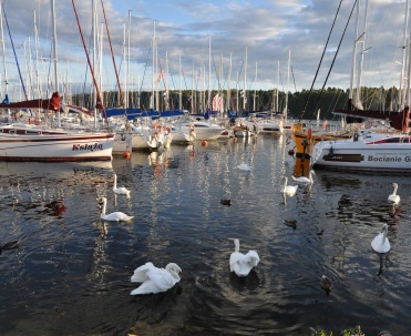 Port prawdopodobnie w Mikołajkach tuż przy promenadzie. Zdjęcie zrobione pod koniec sierpnia.