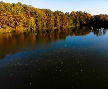 Leśne jezioro na Mazurach - Ciche leśne jezioro w okolicach Giżycka, otoczone naturą i ciszą.