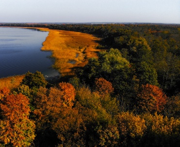 Jesienne barwy w okolicach Giżycka - Widok z lotu ptaka na jesienny krajobraz z jeziorami i lasami w okolicach Giżycka, Mazury w złotych barwach.