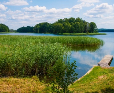 Jezioro w okolicach Giżycka - Spokojne jezioro z otaczającymi trzcinami w okolicach Giżycka, malowniczy krajobraz Mazur.